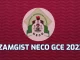 NECO GCE Marketing 2022 Questions And Answers