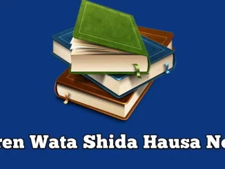 Auren Wata Shida Hausa Novel document cover