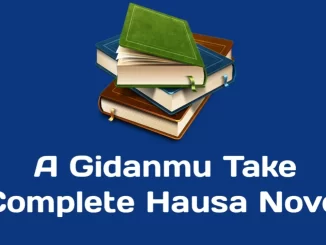 A Gidanmu Take Complete Hausa Novel