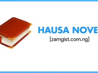 Hausa novel