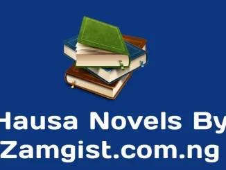 Hausa novel by zamgist.com.ng