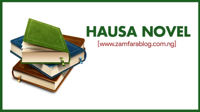 Hausa Novel