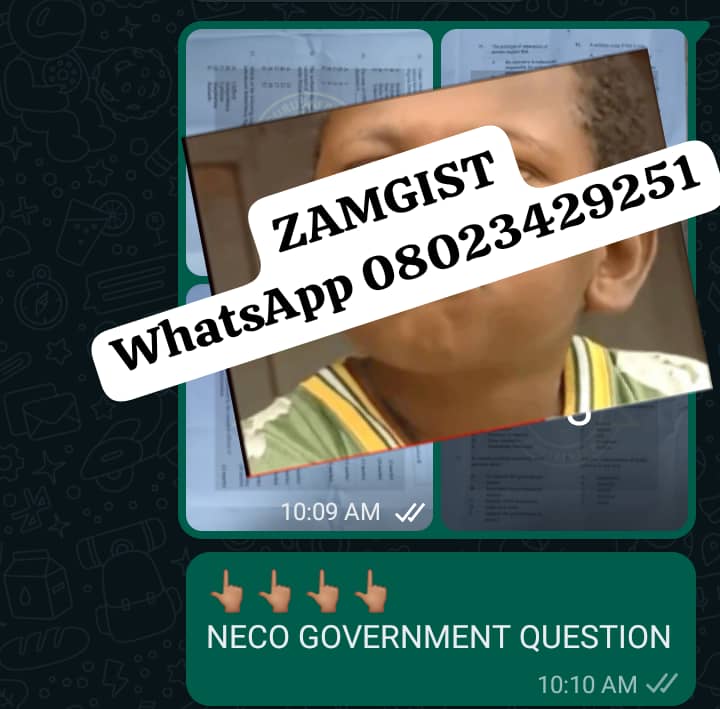 2023 NECO government questions and answers 2023